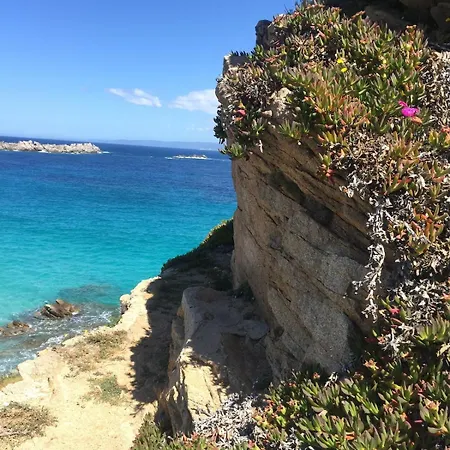 Holiday home La Turritta